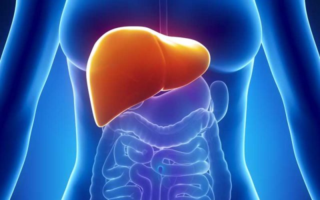 liver-thumb